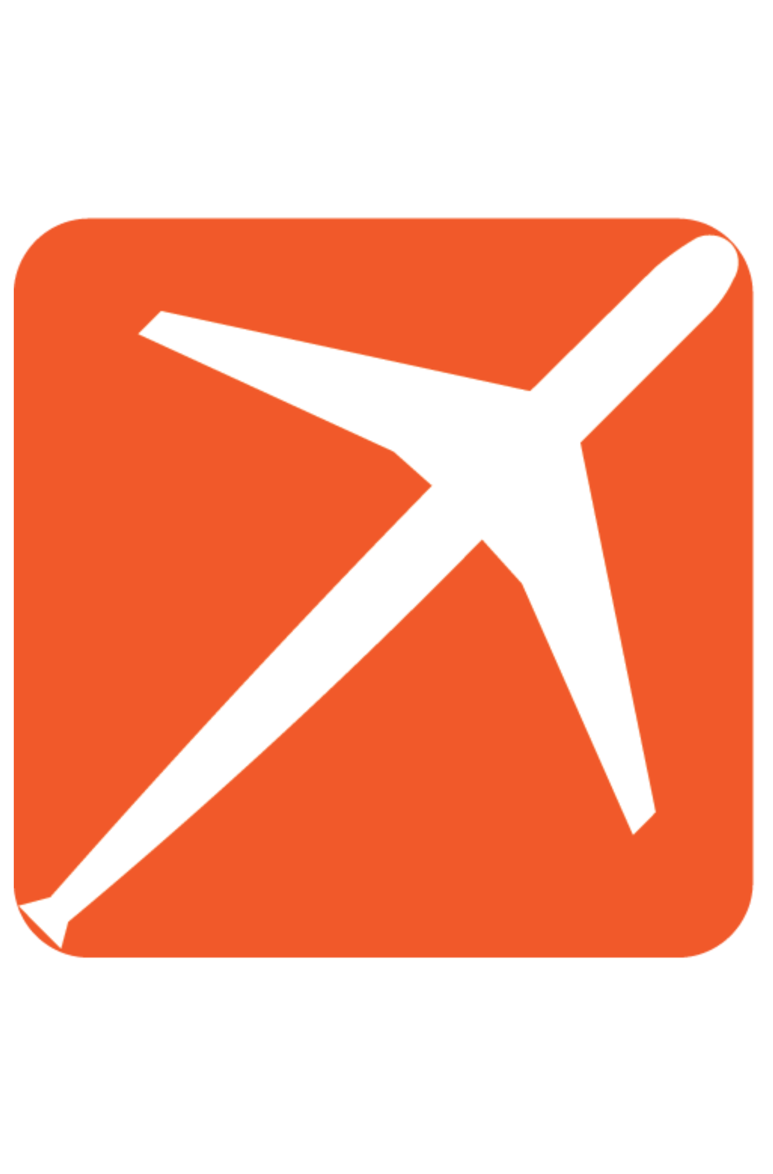 Logo Icon